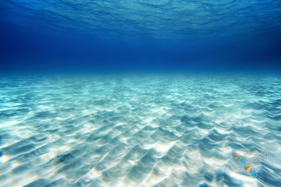 Sakarun beach- sandy sea bottom, Foto by: Sali Tourist Board www.dugiotok.hr